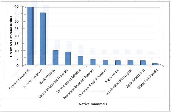 Camera results - native mammals