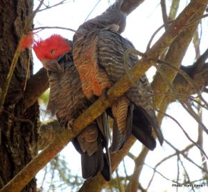 Dig those funky pyjamas