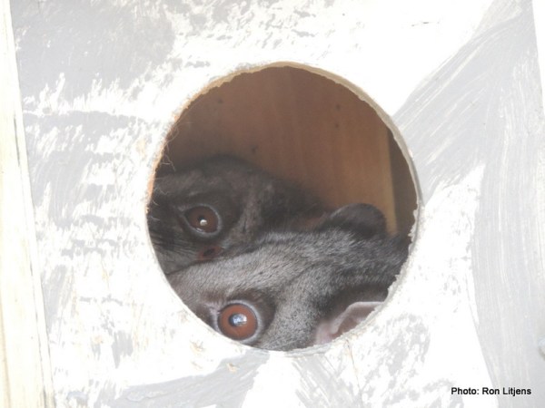 I think we're right. Just Lie still, close your eyes and go to sleep