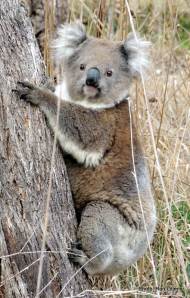 I prefer the classics...maybe Mussorgsky's 'Night on Bare Mountain'