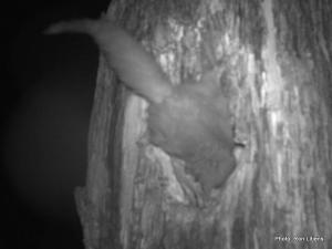 Doing some ceiling work