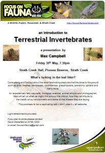 Terrestrial Invertebrates talk