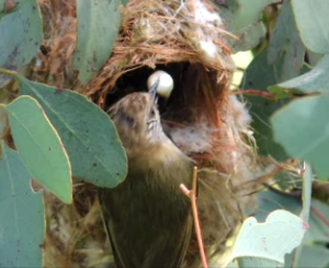 Snapshot 1 (26-10-2014 12-25 PM)