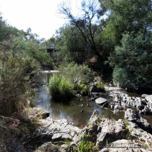King Parrot Creek at Burslems Bridge