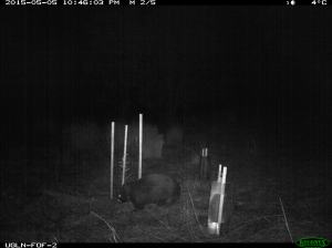 Around the clock protection.