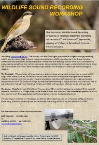 Sound recording workshop