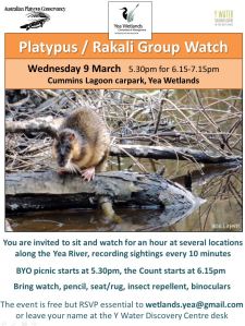 platypus watch jpg