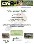Turtle talk flyer